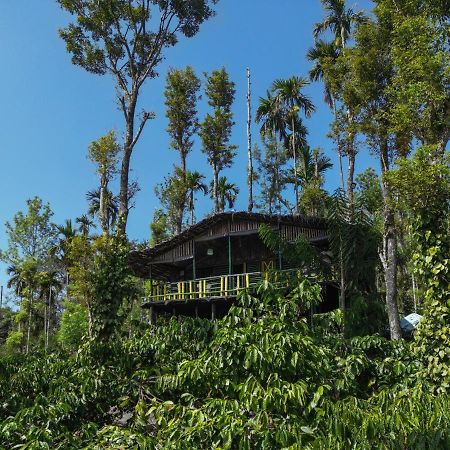 The Mountain Tree Home Wayanad Exteriör bild