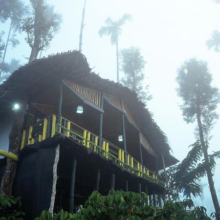 The Mountain Tree Home Wayanad Exteriör bild