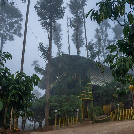 The Mountain Tree Home Wayanad Exteriör bild