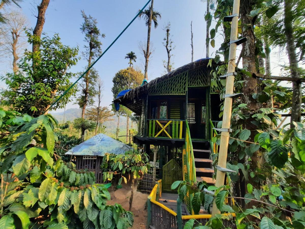 The Mountain Tree Home Wayanad Exteriör bild