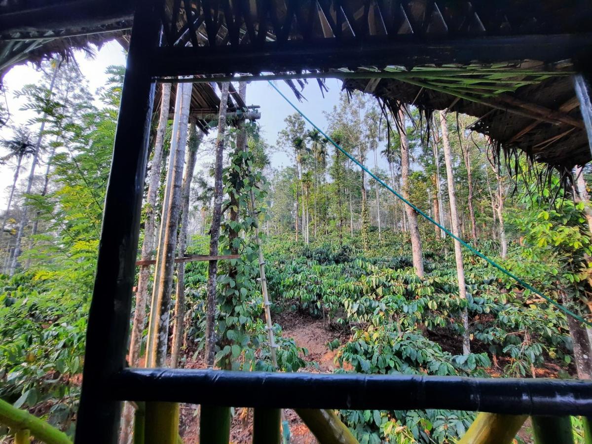 The Mountain Tree Home Wayanad Exteriör bild