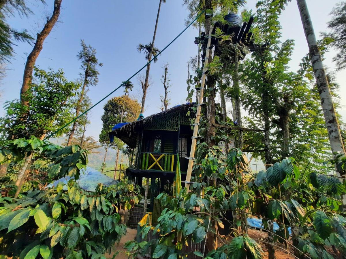 The Mountain Tree Home Wayanad Exteriör bild
