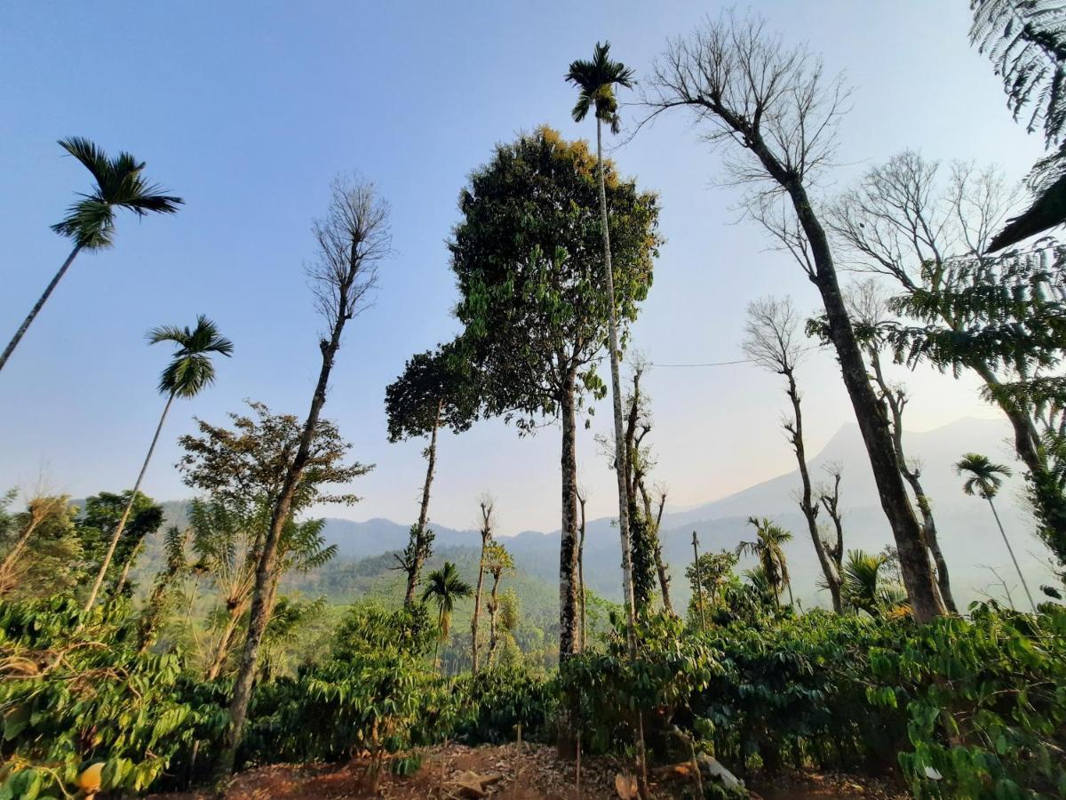 The Mountain Tree Home Wayanad Exteriör bild