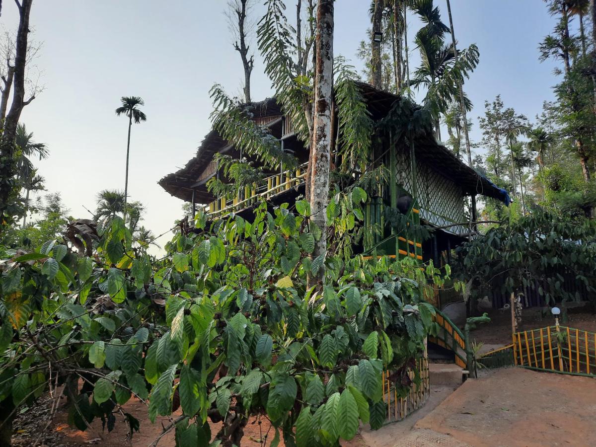 The Mountain Tree Home Wayanad Exteriör bild