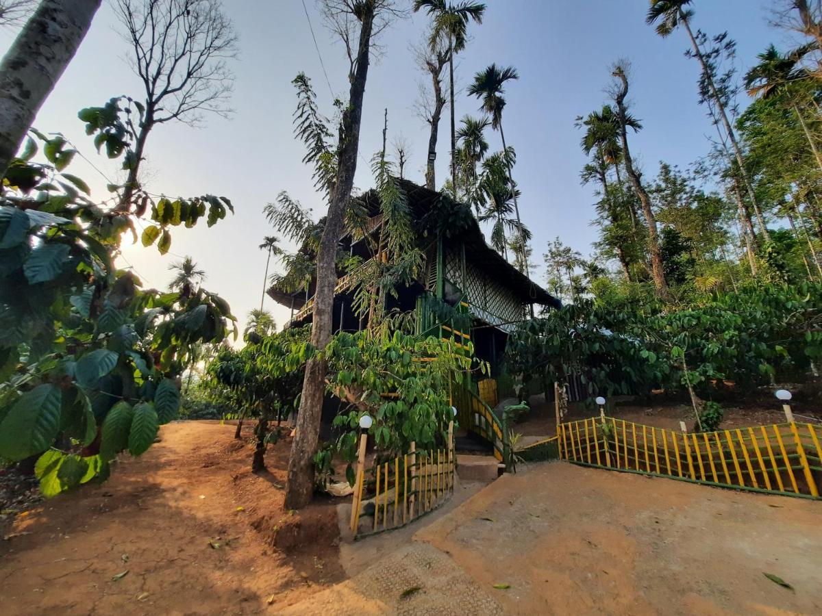 The Mountain Tree Home Wayanad Exteriör bild