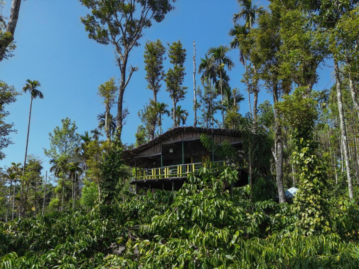 The Mountain Tree Home Wayanad Exteriör bild