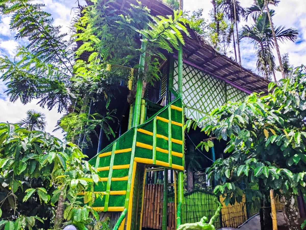 The Mountain Tree Home Wayanad Exteriör bild